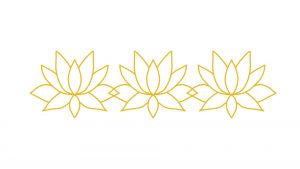 3 lotus